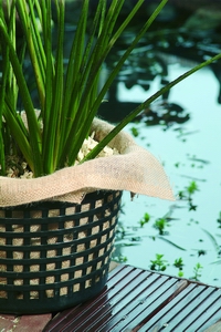 Ubbink jutová výplň do pestovateľských košov 60 x 60 cm - Ubbink textilné vrecko na vodné rastliny premer 15 cm | T - TAKÁCS veľkoobchod