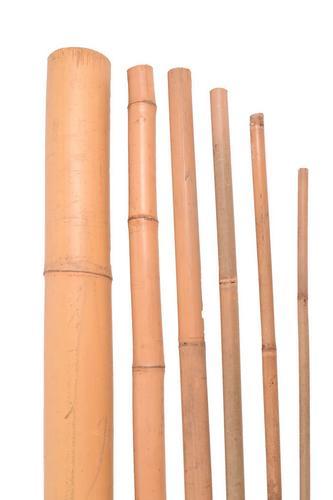 Bambusová tyč 150 cm, 10 - 12 mm, zväzok 10 ks - Bambusová tyč 240 cm, 26 - 28 mm, hrubá, zväzok 10 ks | T - TAKÁCS veľkoobchod