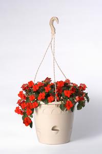 Závesný kvetináč + hák ONDINE, 26,4 x 23,5 cm, béžový - Závesný kvetináč + hák ONDINE, 26,4 x 23,5 cm, borovicovo-zelený | T - TAKÁCS veľkoobchod