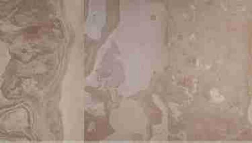 Autumn Cream kamenná dyha 122 x 61 cm - Indian Autumn kamenná dyha 122 x 61 cm | T - TAKÁCS veľkoobchod